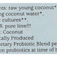 Organic Cocoyo Pure Coconut Yogurt