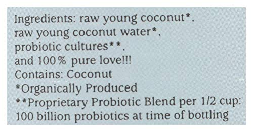Organic Cocoyo Pure Coconut Yogurt
