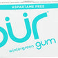Pur Gum Wintergreen Gum - 1 Pk ( 9 Pieces )