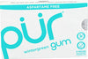 Pur Gum Wintergreen Gum - 1 Pk ( 9 Pieces )