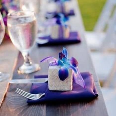 Sunne Tropical Orchidclub Usa Fresh Cut Flowers Dendrobium Orchids (10 Stems Blue)