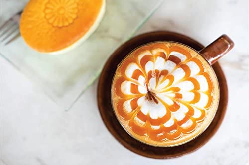 Classic Caramel Caf   Sauce by Hollander Chocolate Co. | Net Wt. 91oz / 64 fl Oz. Large Bottle | NO Pump Included