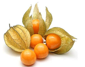 Kejora Fresh Golden Berries  Cape Gooseberries 3 Ounce (Pack Of 3)