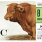 Epic Beef Apple Bacon Bars, Whole30, Paleo Friendly, 12 Ct