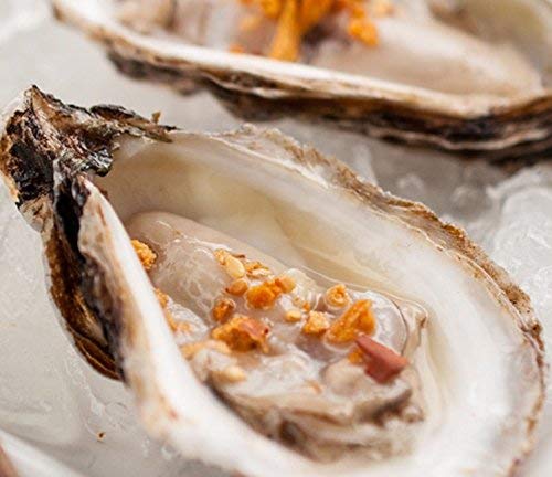 Crunch Dynasty Exotic Spicy Topping, Artisanal Blend, Crunchy Texture, Gluten-Free, 4 Ounce