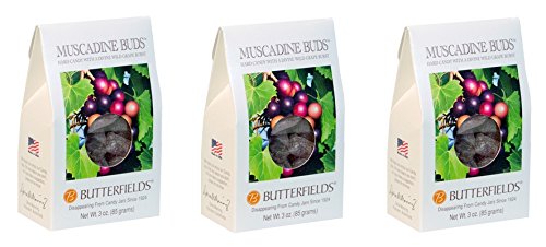 Butterfields Grape Muscadine Merlot Hard Candy, 3 Oz. Pack of 3, Copper
