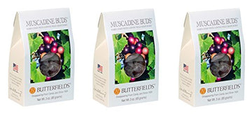Butterfields Grape Muscadine Merlot Hard Candy, 3 Oz. Pack of 3, Copper