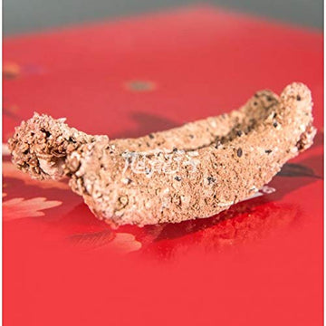 Xlseafood Premium Grade Dried Alaska Sea Cucumber Size Small 16-22 Pcs Per Pack 0.5 Lb  6  16-22/ (Small)