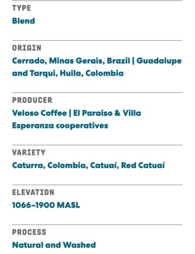Joe Coffee Company - The Daily Whole Bean Specialty Coffee, 12 oz Bag | NYC Roaster, Rainforest Alliance Certified, Kosher, Clim