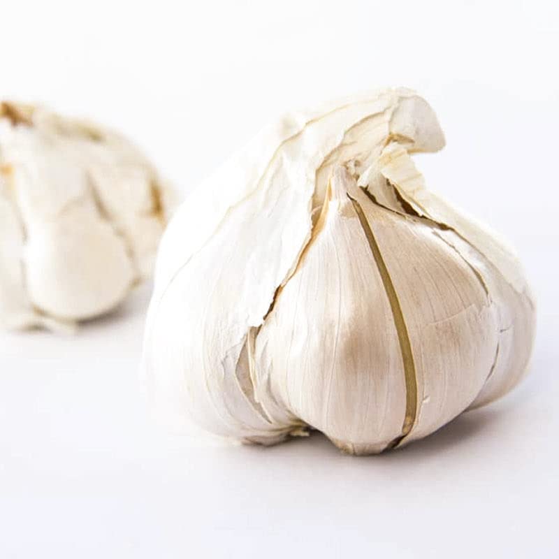 Elephant Garlic. Grown in California. 2 Huge Bulbs. Delicious milder, mellower flavor. Great for Cooking, Eating and Planting. G