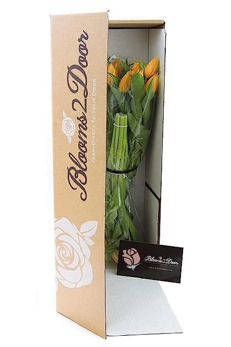 Kabloom Flowers - Mother'S Day Collection -Premium 20 Orange Tulips Without Vase - Gift For Birthday, Sympathy, Anniversary, Get