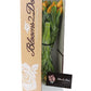 Kabloom Prime Overnight Delivery - Wedding Collection - Premium 30 Orange T Ulips - Wholesale Fresh Flowers I Gift For Birthday,