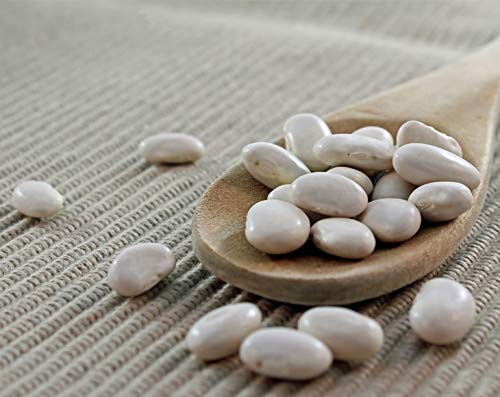 Food To Live Organic Great Northern Beans, 4 Pounds - Dried, Non-Gmo, Kosher, Raw, Sproutable, Bulk Seeds, Product Of The Usa