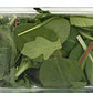 Organicgirl Supergreens, 10 Oz