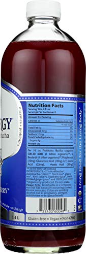 Synergy The Real Kombucha, Gingerberry - 48oz