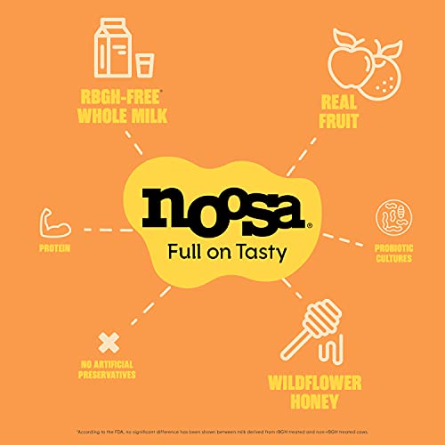 Noosa Yoghurt, Pumpkin, Whole Milk Yogurt, Grade-A Pasteurized, Gluten Free, Probiotic, 8 Ounce