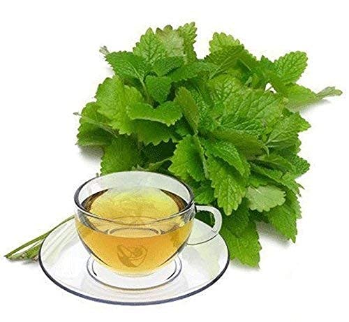 Lemon Balm - Melissa Officinalis Dried Loose Leaf By Nature Tea (2 Oz)