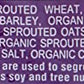 Food For Life Bread Sprouted Cinnamon Raisin Organic, 24 oz