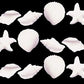 CakeSupplyShop 24pk Edible White Seashells & Starfish Sugar Decorations for Cakes, Cupcakes, & Cake Pops - 49 Piece Set