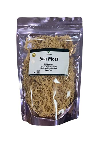 Halaleveryday Wildcrafted Irish Sea Moss - 1Lb Bag- 100 % Pure All Natural  Vitamin & Mineral Rich  No Preservatives  Golden  16