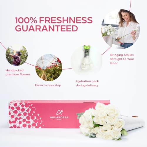 Aquarossa Farms - 48 White Roses Bouquet, Fresh Flowers For Delivery, Flower Fresh Bouquet, Gift Idea For Graduation, Birthday,