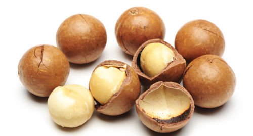 Macadamia Nuts - In Shell (Whole) (2 Lb)