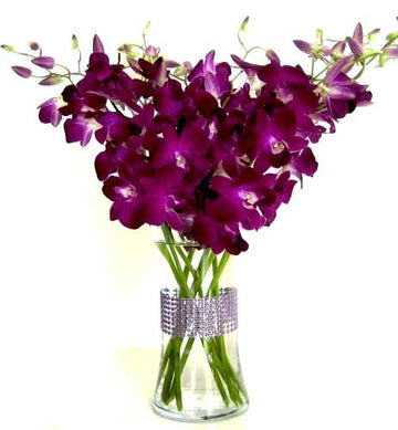 eflowerwholesale - Premium Cut Orchids (10 Stems Orchid with Rhinestone Mesh Ribbon Vase) (Dark Purple)