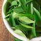 Rani Fresh Curry Leaves 2-3oz ~ All Natural | Vegan | Gluten Friendly | NON-GMO | Product of USA