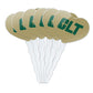 GRAPHICS & MORE Cupcake Picks Set of 6 - Acrylic Heart Toppers - UNC Charlotte - One Size