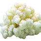 Generic Milk Kefir Grains Starter, 0.35 Ounce, Live Active Kefir Culture for Homemade Fermentation, KETO Friendly