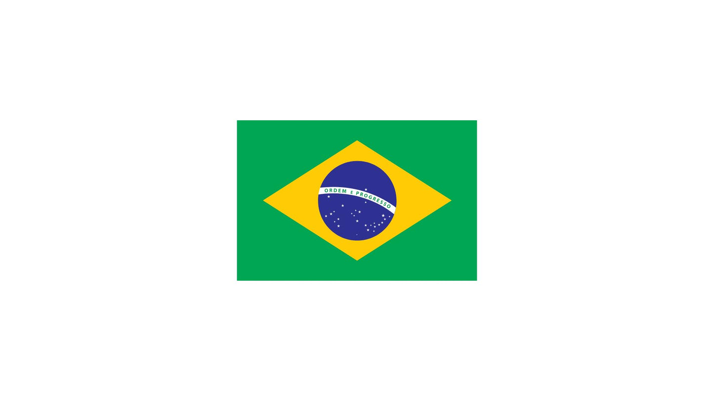 Roastika - Premium Green Coffee Bean - Unroasted - 5Lb Single Origin From Brazil Cerrado