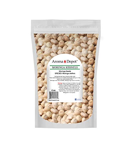 Aroma Depot 4 oz. Moringa Seeds KERNEL - 100% Natural, Raw, Off White Edible Superfood