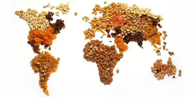 Dried Soybeans (Soynuts) Roasted Unsalted, 14 Oz., Kosher