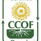 Mccabe Organic Corn Tea - Roasted Corn Tea | Usda And Ccof Certified | Non-Gmo Whole White Corn | Roasted And Packed In Usa | 1.