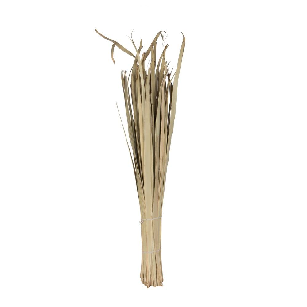 Vickerman 679265-40" Sun Palm Leaf Natural 100/Pk (H7Sul900) Dried And Preserved Palms