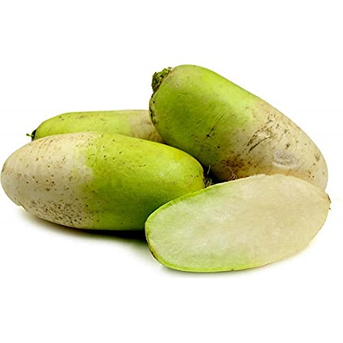 Generic Fresh Whole Korean Radish (Mu) Produce Vegetable Us Grown [4 Lbs]
