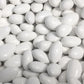 Smarty Stop Jordan Almond Collections (White, 1 Pound (Pack Of 1))