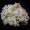 1 TBSP Milk Kefir Grains and eBook Milk Kefir Unleashed by Thomas Egbert - Fresh Live Active Probiotic Starter Cultures - Fusion