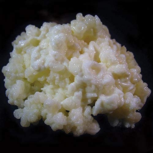 1 TBSP Milk Kefir Grains and eBook Milk Kefir Unleashed by Thomas Egbert - Fresh Live Active Probiotic Starter Cultures - Fusion