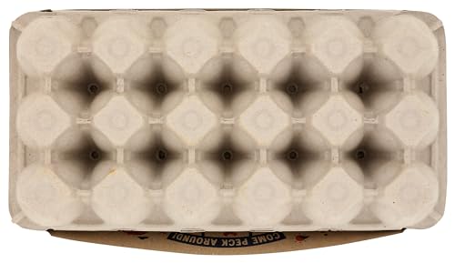 Pete & Gerrys Organic Eggs Large 18 CT