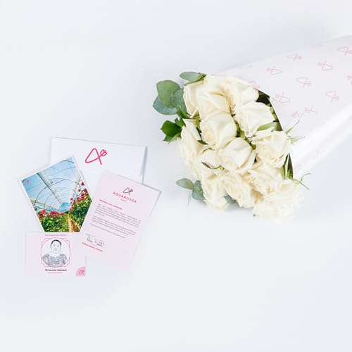 Aquarossa Farms - 48 White Roses Bouquet, Fresh Flowers For Delivery, Flower Fresh Bouquet, Gift Idea For Graduation, Birthday,