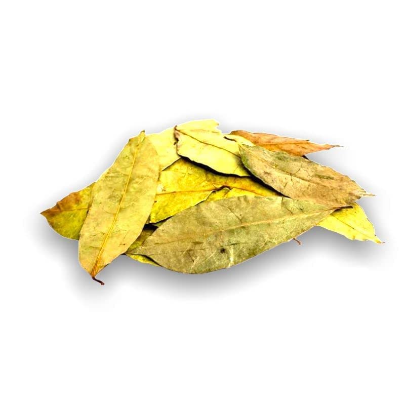 Yerbero - Whole Wildcrafted Dried Graviola Soursop Leaves 1 Lb (453G - 1300+ Leaves Per Bag) Hoja De Guanabana Seca, Crafted By