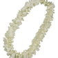 Miami Fresh Orchid Loose Bloom Perishable Flowers Orchidclub Usa Sunne Tropical Diy Lei, Food & Drink Decoration (100 White)