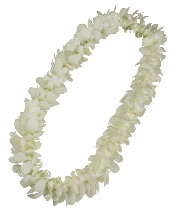 Miami Fresh Orchid Loose Bloom Perishable Flowers Orchidclub Usa Sunne Tropical Diy Lei, Food & Drink Decoration (100 White)