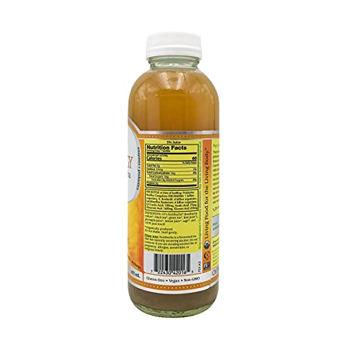 SYNERGY The Real Kombucha - Golden Pineapple - 16 fl oz Bottle - Raw Probiotic Drink for Gut Health and Immune Support
