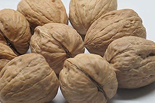 Presto Sales Walnuts “Current New Crop In Shell Huge Hartley Choice Nut, Grown In California - Packed In A 3 Lbs (48 Oz.) Resealable Pouch Bag - Low-Carb, High-Protein.