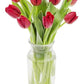 KaBloom Flowers -Valentine's Day Collection - 10 Red Tulips with vase, Gift for Birthday, Sympathy, Anniversary, Get Well, Thank