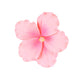 O'Creme Gumpaste Hibiscus Flower Set Of 3 Pink - Edible Flowers For Cake Decorating - Sugar Paste Flower Decorations For Cakes,