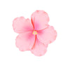 O'Creme Gumpaste Hibiscus Flower Set Of 3 Pink - Edible Flowers For Cake Decorating - Sugar Paste Flower Decorations For Cakes,