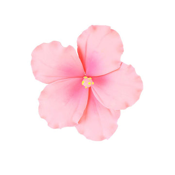 O'Creme Gumpaste Hibiscus Flower Set Of 3 Pink - Edible Flowers For Cake Decorating - Sugar Paste Flower Decorations For Cakes,